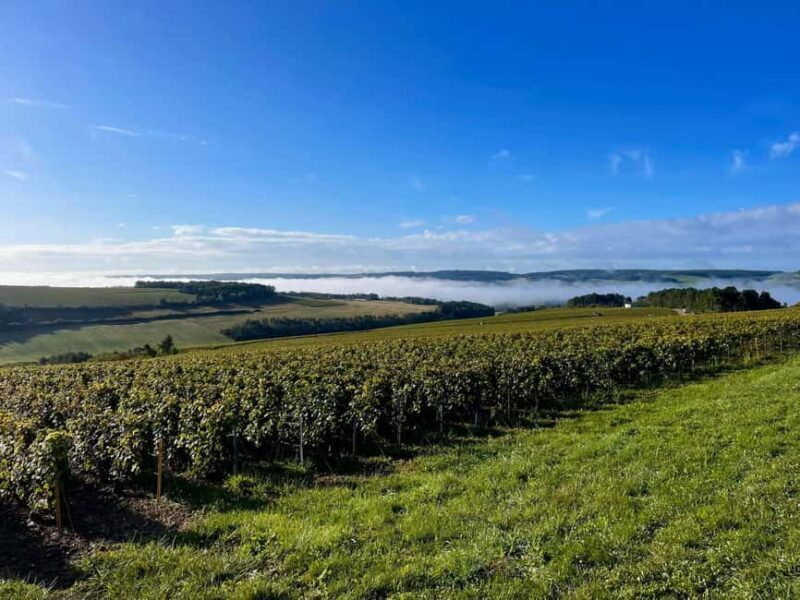 Enjoy a countryside meal and champagne tasting in the Côte des Bar! - Final Thoughts