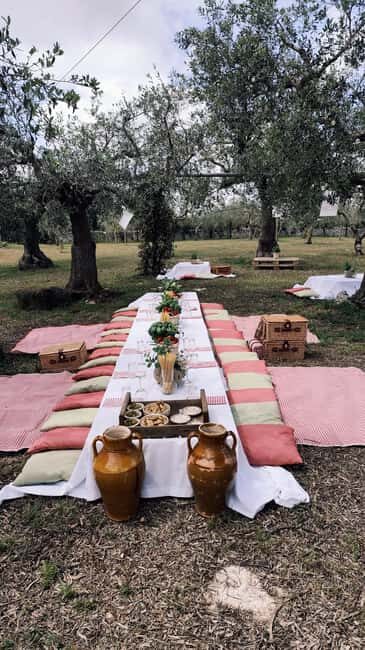 Enjoy a picnic with local products and wine in the Apulian countryside - Key Points