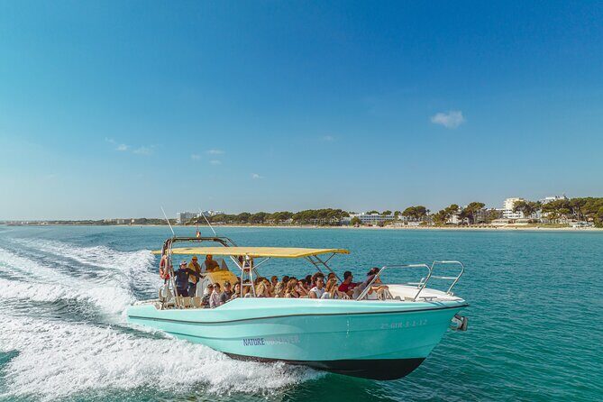 Enjoy crystal clear waters for 2 hours - Authentic Experiences from Reviews