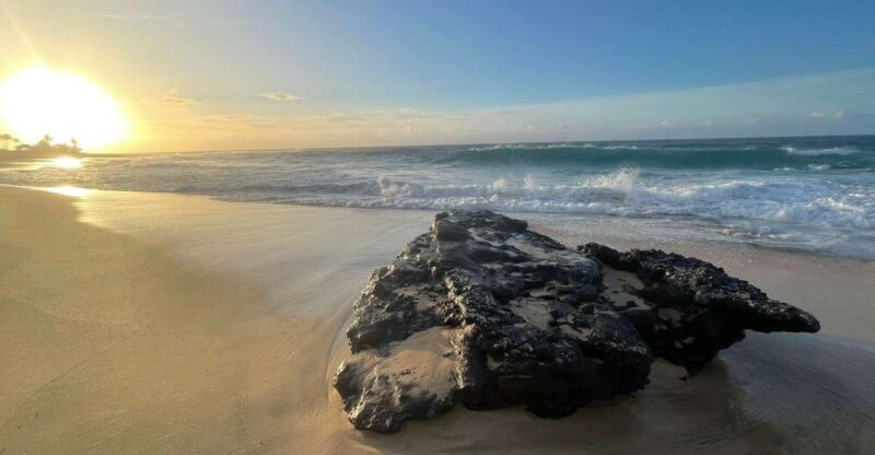 Enjoy Private Professional Photo Tour in Honolulu Island - FAQ