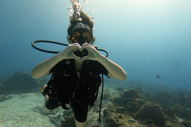 Enjoy two dives without previous experience with a boat trip - Key Points