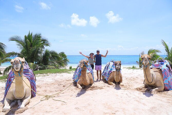 ENJOY UNIQUE CAMEL RIDE in Puerto Morelos with Transportation - A Closer Look at the Tour