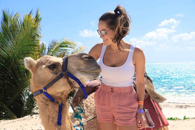 ENJOY UNIQUE CAMEL RIDE in Puerto Morelos with Transportation - The Practical Details