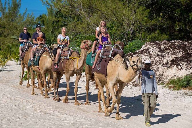 ENJOY UNIQUE CAMEL RIDE in Puerto Morelos with Transportation - Frequently Asked Questions (FAQs)
