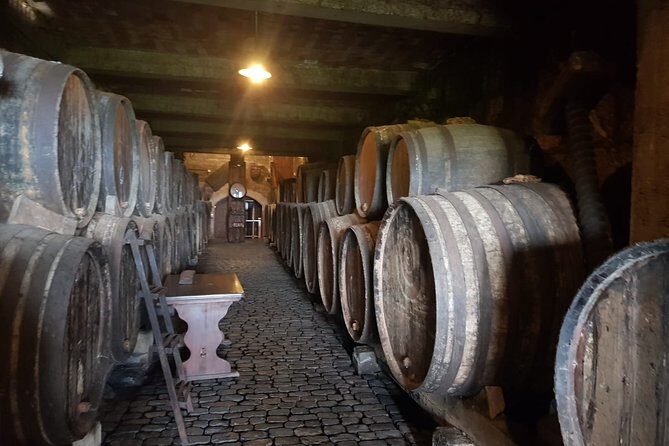 Enogastronomic Tour- 4 hours in Tenerife - What You Can Expect from the Itinerary