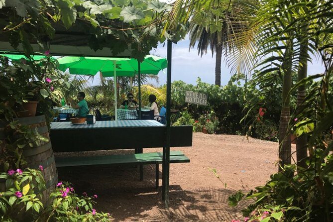 Enogastronomic Tour- 4 hours in Tenerife - Authentic Traveler Insights