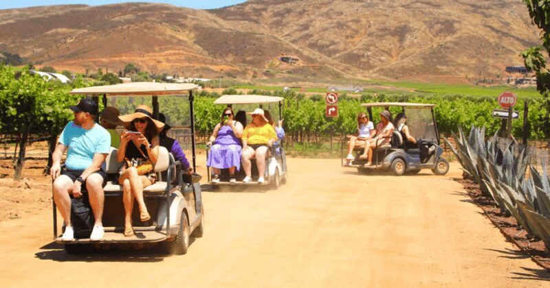 Ensenada: ATV/Golf car Mountain Drive Tour - What to Expect on the Trail