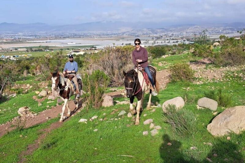 Ensenada: Bajas Hidden Trails: Horseback Ride w/ Ocean View - Ensenada: Bajas Hidden Trails — Horseback Ride with Ocean View