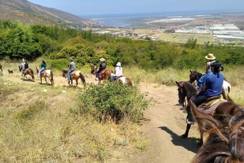 Ensenada: Bajas Hidden Trails: Horseback Ride w/ Ocean View - The Viewpoints and Photo Opportunities