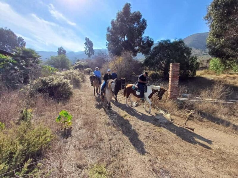 Ensenada: Bajas Hidden Trails: Horseback Ride w/ Ocean View - Who Should Consider This Tour?