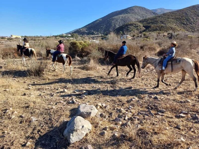 Ensenada: Bajas Hidden Trails: Horseback Ride w/ Ocean View - Final Thoughts