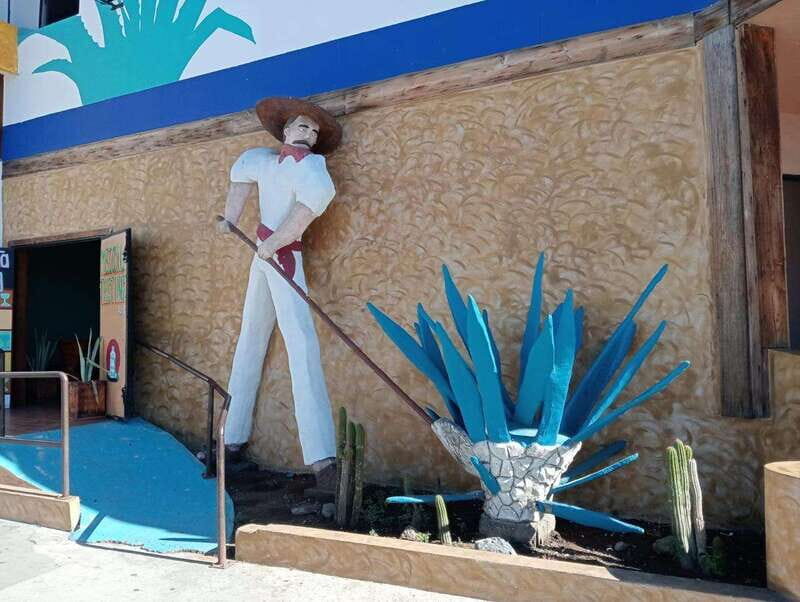 Ensenada: Beach and Bar Experience - Final Thoughts