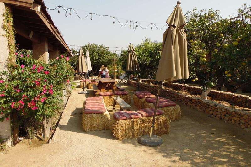 Ensenada: Guadalupe Valley Wine Route Private Tour - Exploring the Guadalupe Valley Wine Route: A Closer Look at the Private Tour