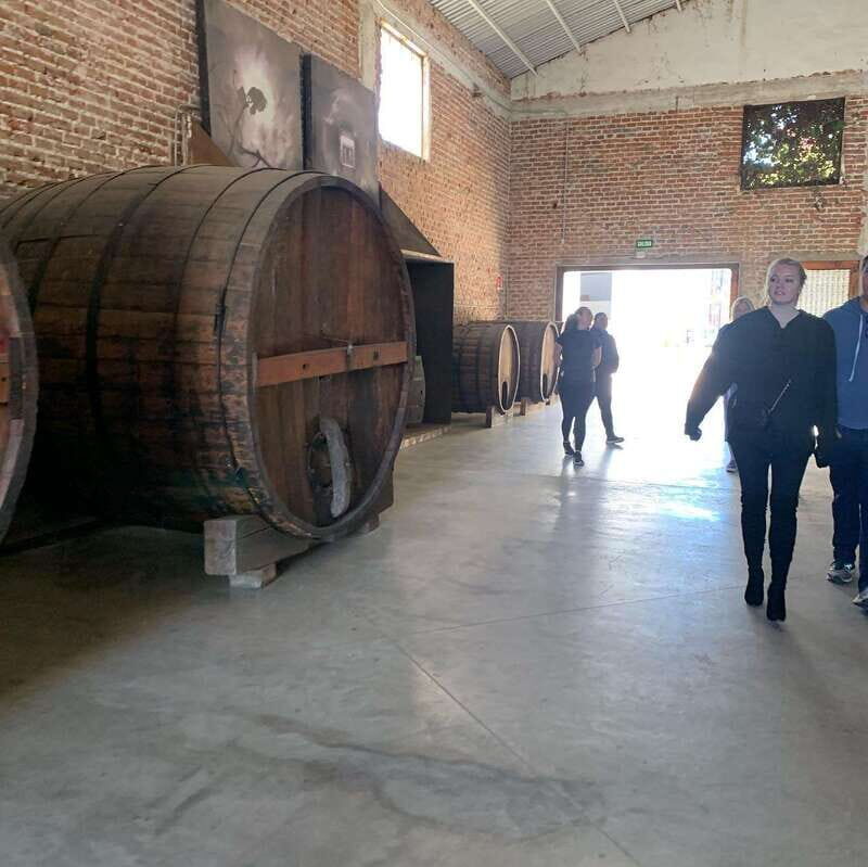 Ensenada: Guided City Highlights Tour with Margarita Tasting - The Tour Itself: What to Expect