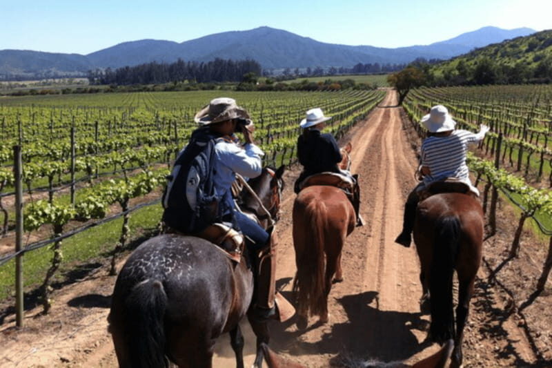 Ensenada: Horseback Riding at the Vineyards - Key Points