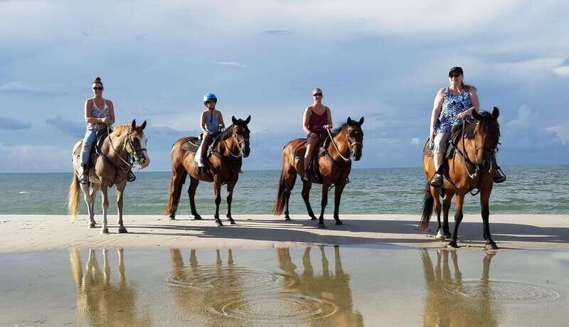 Ensenada: Horseback riding in the beach - Key Points: