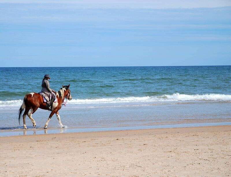 Ensenada: Horseback riding in the beach - Is it Worth the Price?