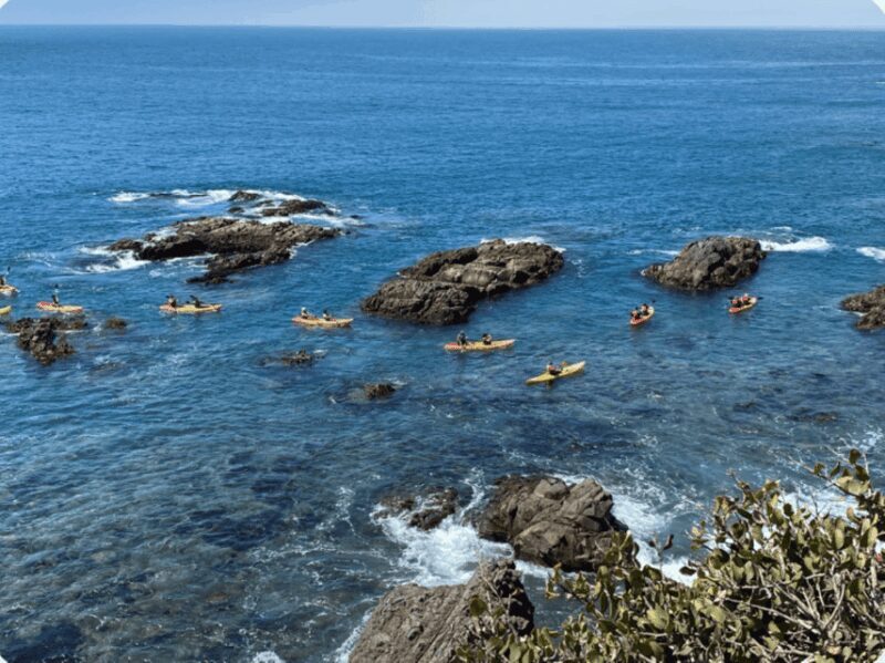 Ensenada: Kayaking at La Bufadora - Who Is This Tour Best Suited For?