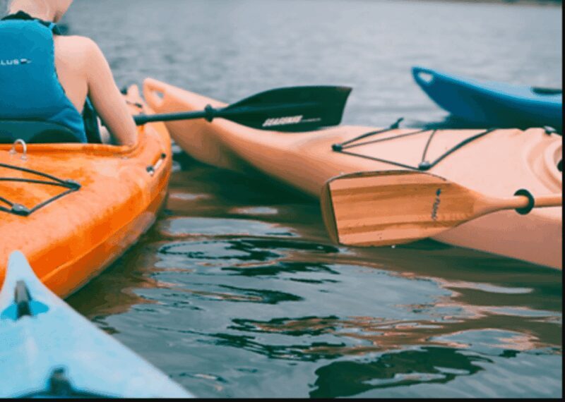 Ensenada: Kayaking at La Bufadora - The Sum Up