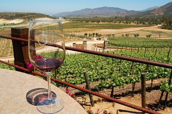 Ensenada, La Bufadora and Guadalupe Valley Private Guided Tour - What We Like About This Tour