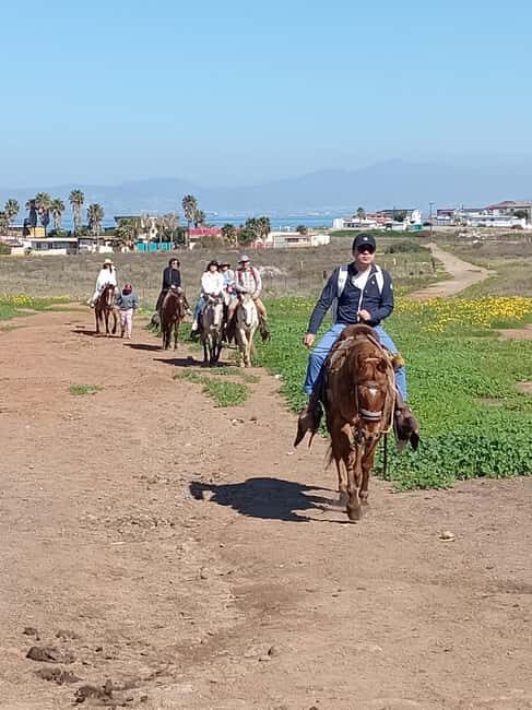 Ensenada: La Bufadora and Playa Hermosa Horseback Riding - What to Expect from the Tour Experience