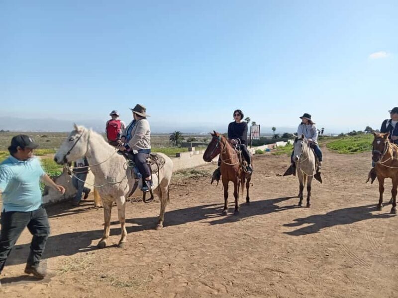 Ensenada: La Bufadora and Playa Hermosa Horseback Riding - FAQ