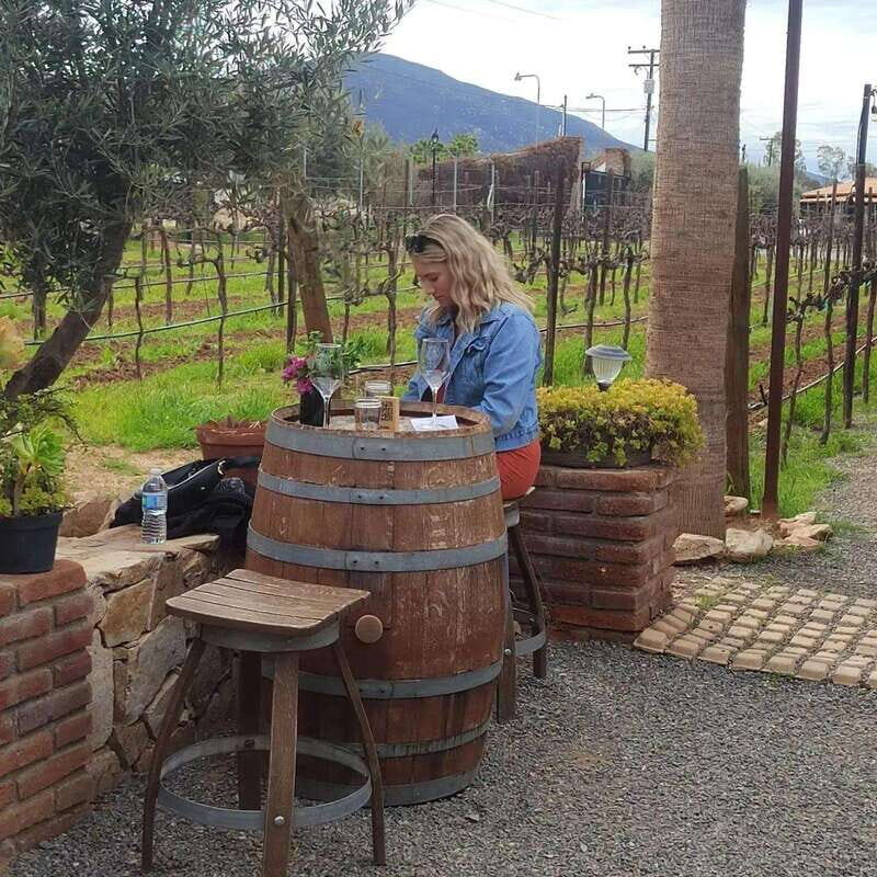 Ensenada: Ojos Negros Valley Cheese and Wine Tasting Tour - FAQ