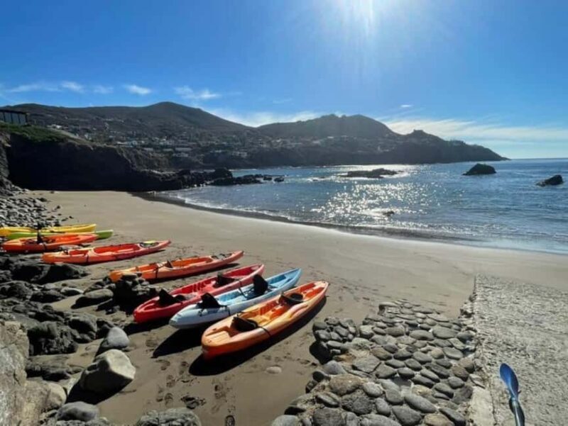 Ensenada: Private Kayak Tour to La Bufadora W/Transfer - What We Love About This Tour