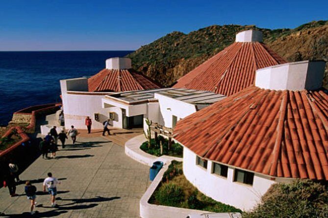 Ensenada Shore Excursion: City Tour & La Bufadora - What to Expect from the Itinerary