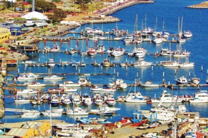 Ensenada Shore Excursion: City Tour & La Bufadora - Real Traveler Perspectives