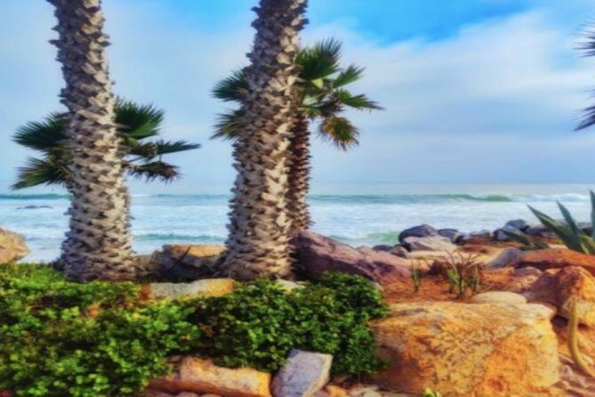 Ensenada Shore Excursion: City Tour & La Bufadora - Final Thoughts