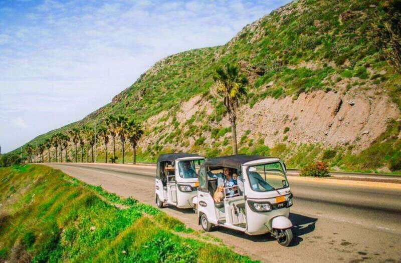 Ensenada: Street Gourmet Tour with Tacos and Drinks - The Food Experience