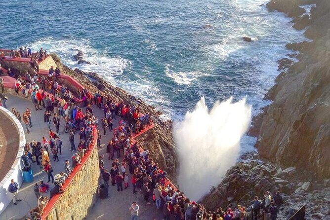 Ensenada Zipline and Blowhole Tour - What to Expect From the Itinerary