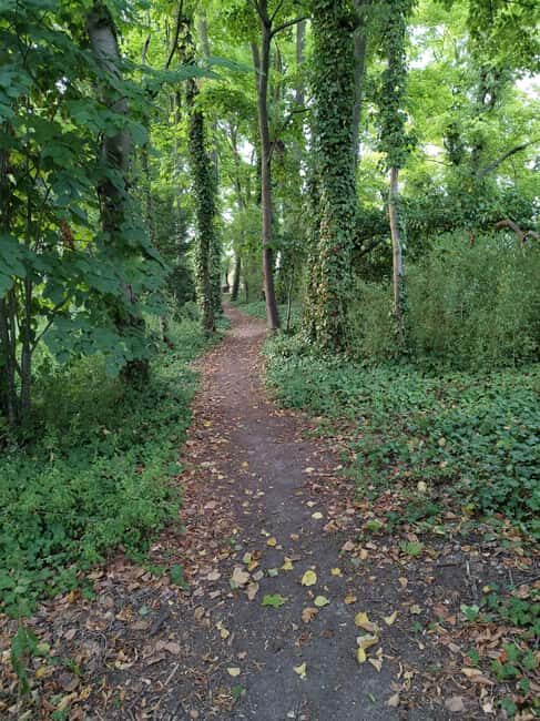 Enter the painting, touch the roots and go back in time ! - Key Points