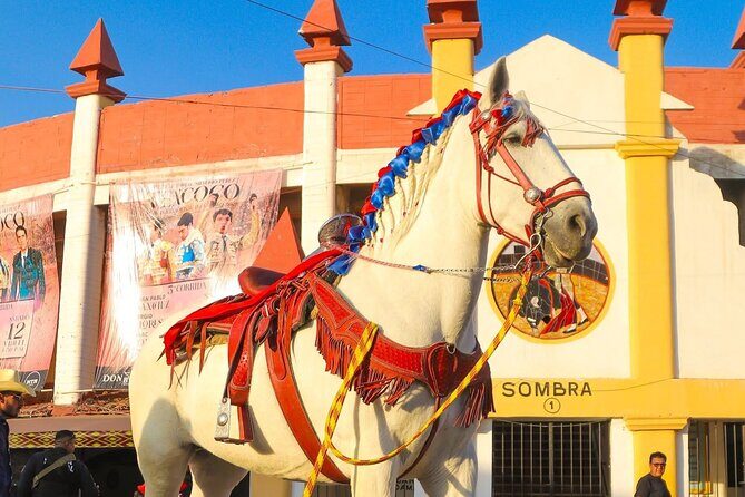 Entrance and transfer to the Texcoco International Horse Fair26 - FAQs