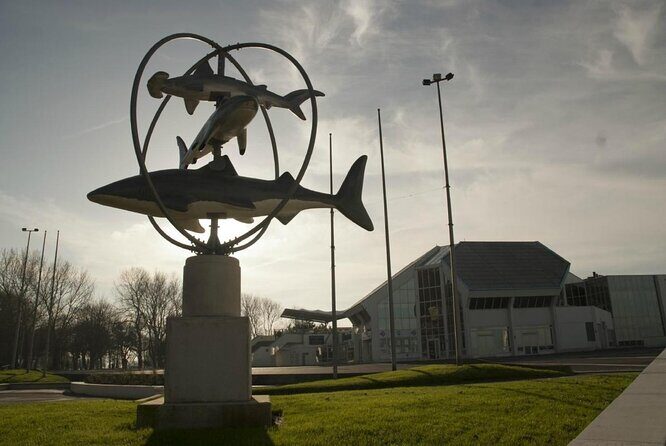 Entrance Ticket Nausicaa, the biggest aquarium in Europe - Key Points