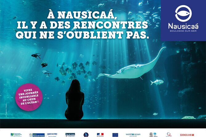 Entrance Ticket Nausicaa, the biggest aquarium in Europe - What to Expect from Your Visit