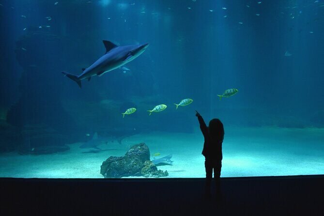 Entrance Ticket Nausicaa, the biggest aquarium in Europe - FAQ