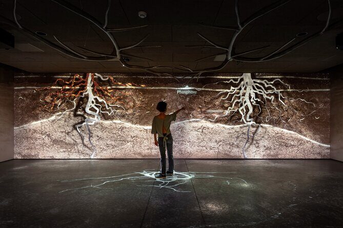 Entrance ticket to Pressoria in the heart of Champagne with Tasting - The Itinerary Breakdown