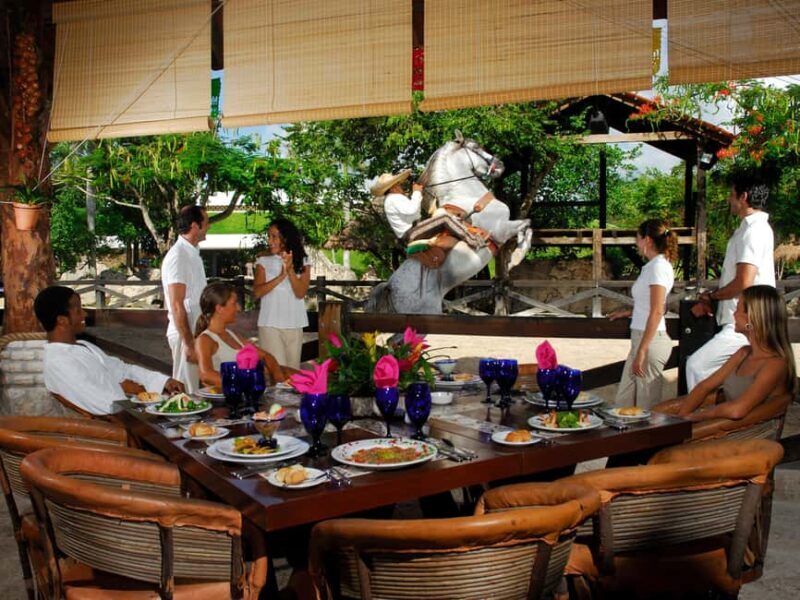 Entrance to Xcaret Park with access to the night show included. - The cultural shows and entertainment