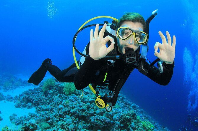 Entry Level PADI Course Discovery Scuba Dive - What Real Participants Say