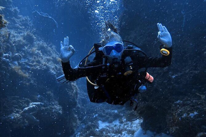 Entry Level PADI Course Discovery Scuba Dive - Who Is This Tour Best For?