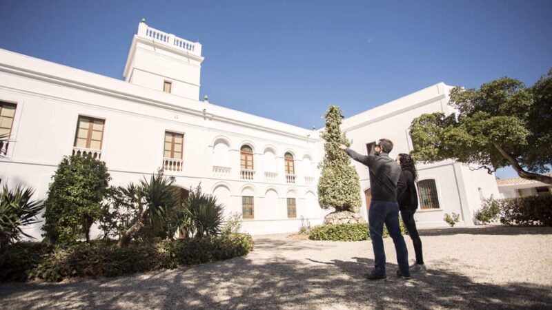 Entry ticket | Fundació Mas Miró - Mont-roig del Camp - Key Points