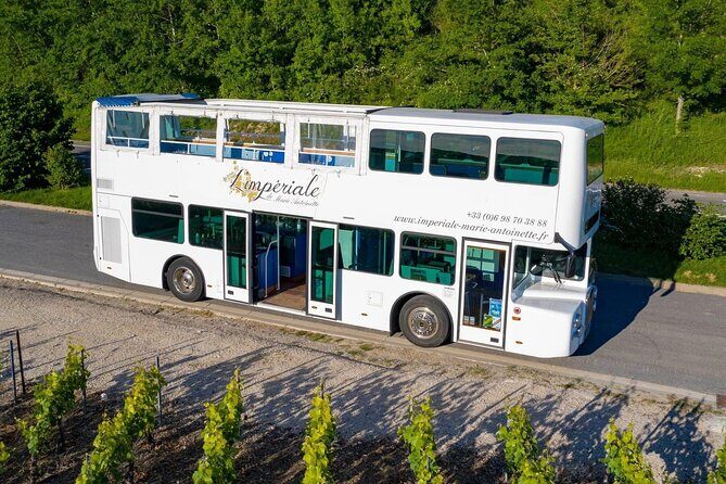 Epernay and Vineyards with Champagne Tasting - An Honest Look at the Tour Experience