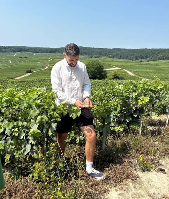 Epernay : Atypical Champagne tasting with a great view - What to Expect from This Champagne Tasting Tour