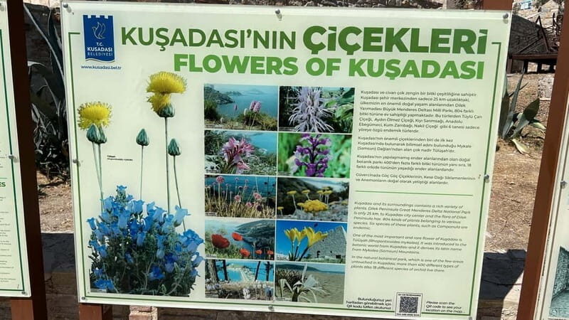 Ephesus tours wholesalerShopTours from cruise port Kusadasi - FAQ about the Kusadasi Ephesus Private Tour