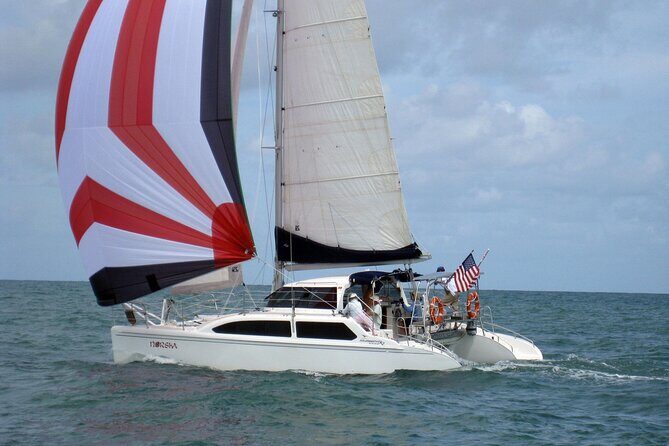 Epic 34 Catamaran Sailing and Snorkeling Adventure - What to Expect from the Epic 34 Catamaran Adventure