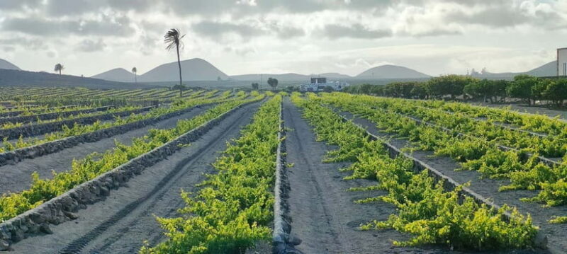 Epic E-Bike Tour: From North to South, Discover Lanzarote Like Never Before - The Sum Up: Is It Worth It?