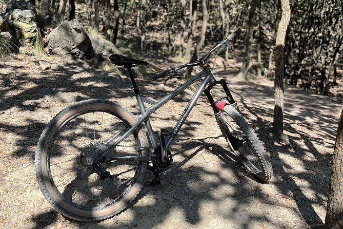 Epic MTB ride at Guadalajara forest. - The Bottom Line: Who Should Consider This Tour?