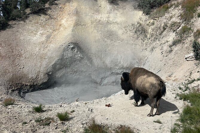 Epic Yellowstone Private Tour - Final Thoughts